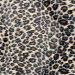 PELO_Leopard_B