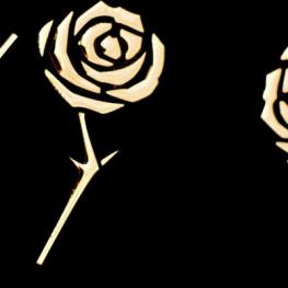 ROSES_Magic_BlackGold_B
